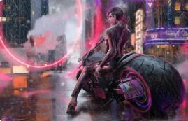 秩序之路PC版下载 秩序之战1.8正式版